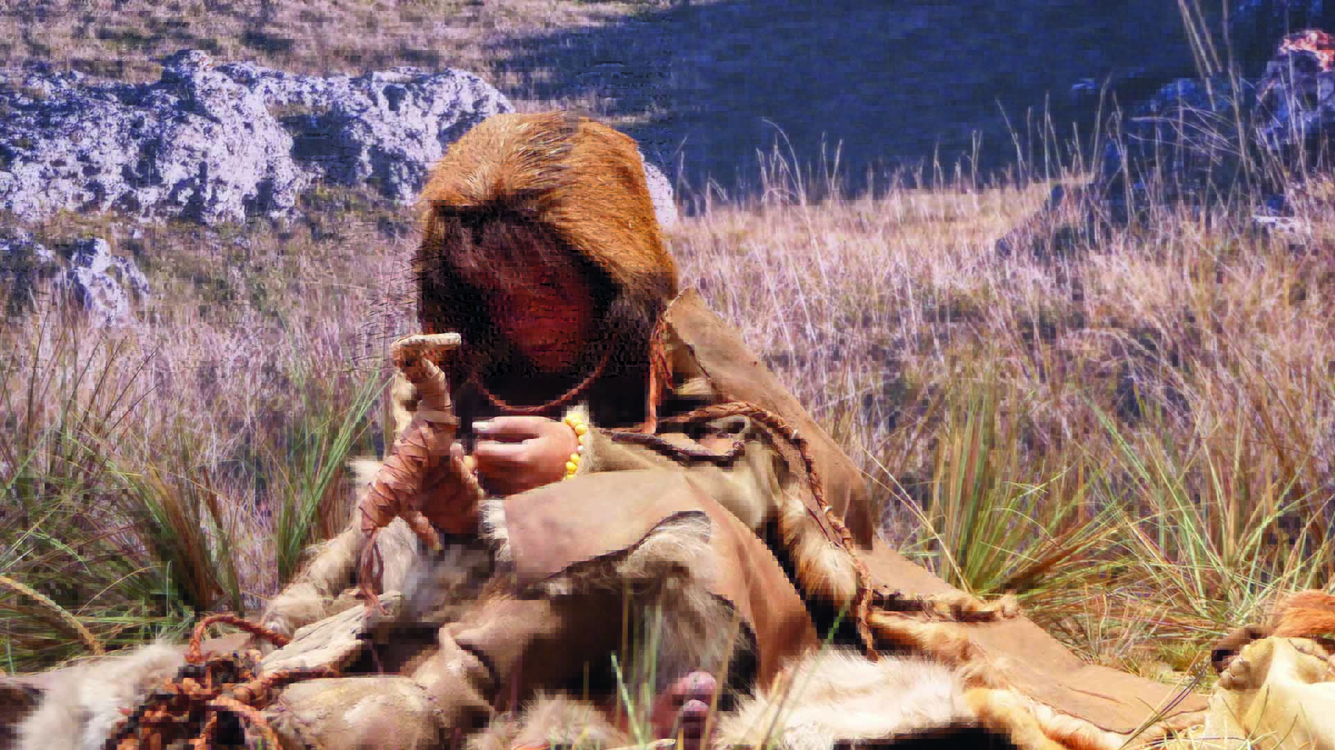 Image 0