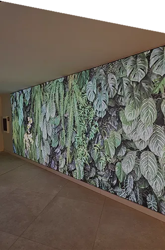 Formatos y<br>opciones variados